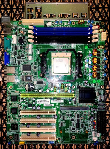 Tyan tomcat h1000s - tomcat,